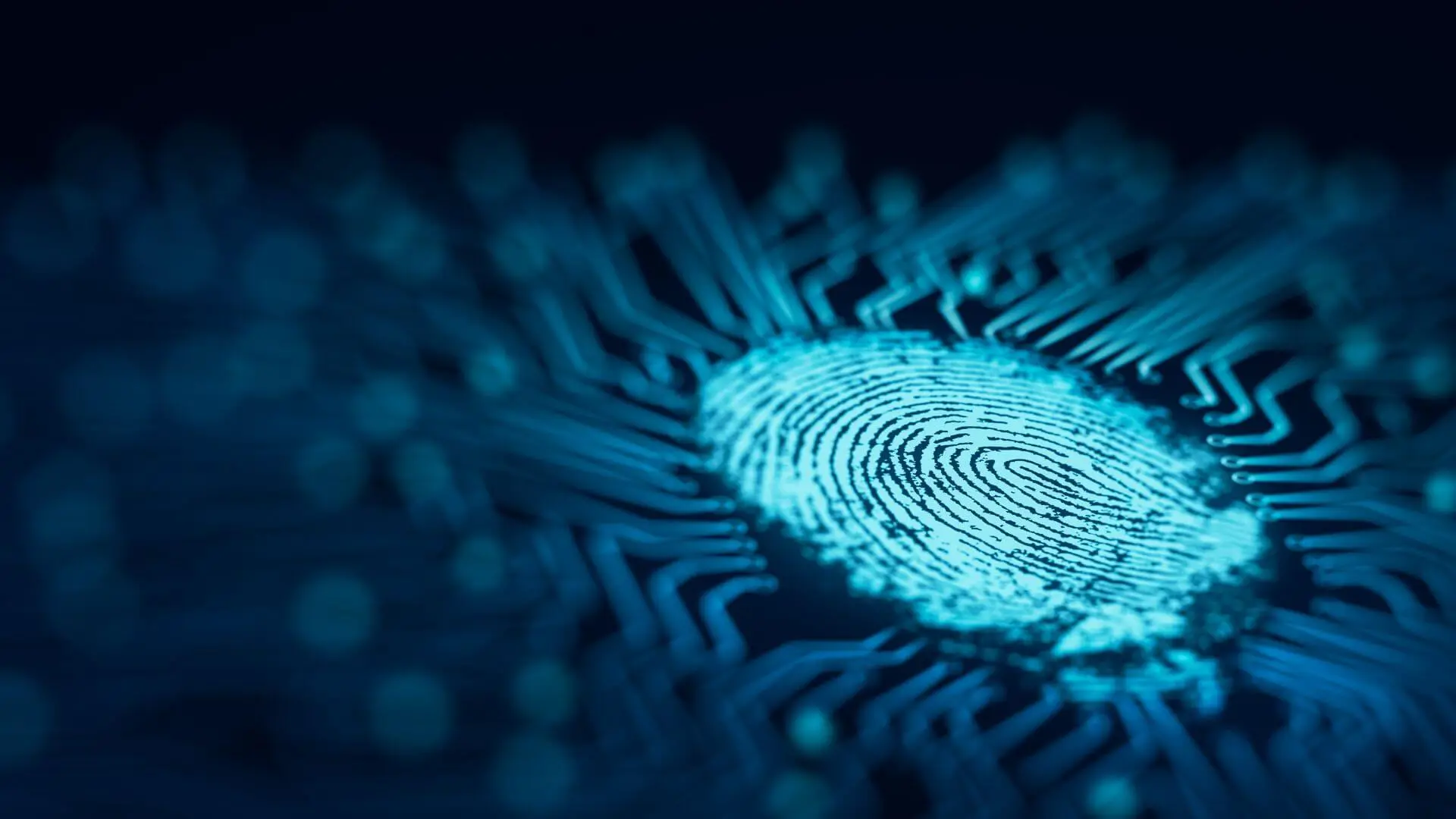 e-Contracts Made Easy: How Digital Signatures Work