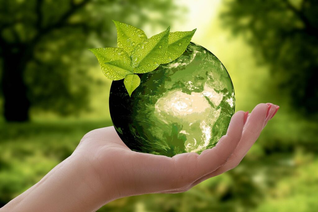 The Eco-Friendly Choice: How Online Document Signing Reduces Your Carbon Footprint 2 The Eco-Friendly Choice: How Online Document Signing Reduces Your Carbon Footprint